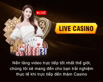 Minh họa các loại cược Baccarat