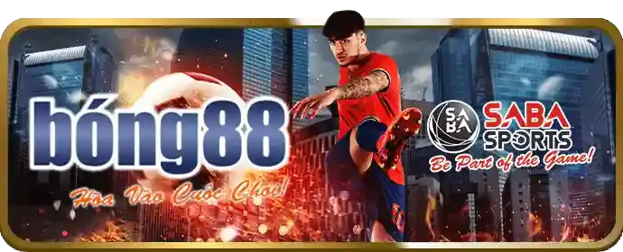 Cá cược bóng đá rg88